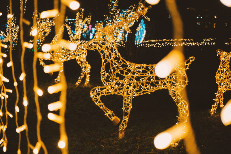 Radiant golden reindeer figures brightly shine, surrounded by twinkling decorative lights at night.