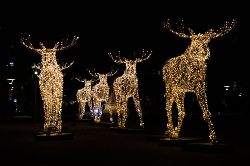 Beautiful Christmas Decorations Reindeer and Warm decorative lights in Stockholm, Sweden